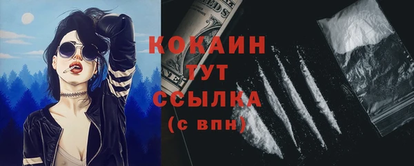 ГАЛЛЮЦИНОГЕННЫЕ ГРИБЫ Богданович