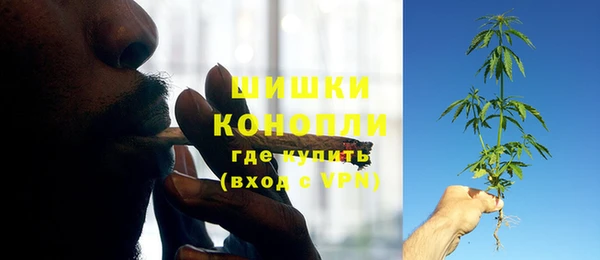 гашик Богородск