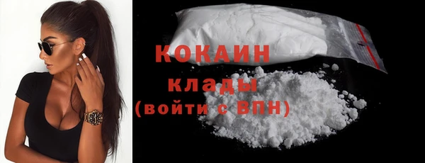 mix Богородицк