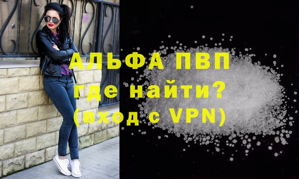 ГАЛЛЮЦИНОГЕННЫЕ ГРИБЫ Богданович