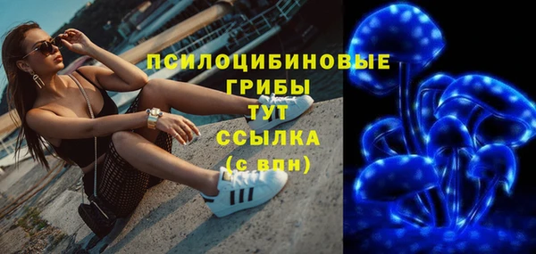 ГАЛЛЮЦИНОГЕННЫЕ ГРИБЫ Богданович