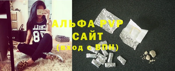 гашик Богородск