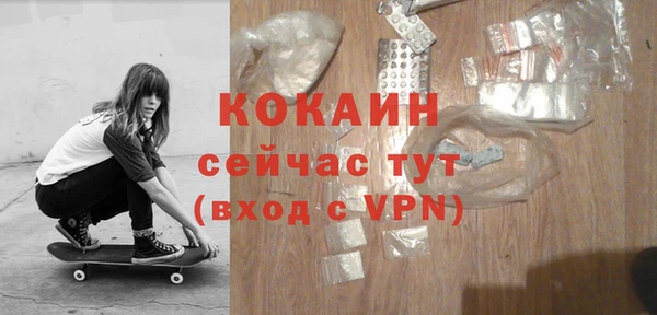 mix Богородицк